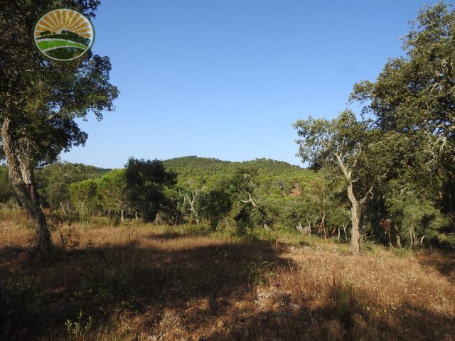 Terreno Rstico - So Lus, Odemira, Beja - Imagem grande