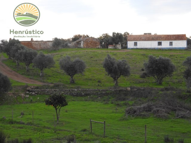 Terreno Rstico - Santa Margarida da Serra, Grndola, Setbal - Imagem grande