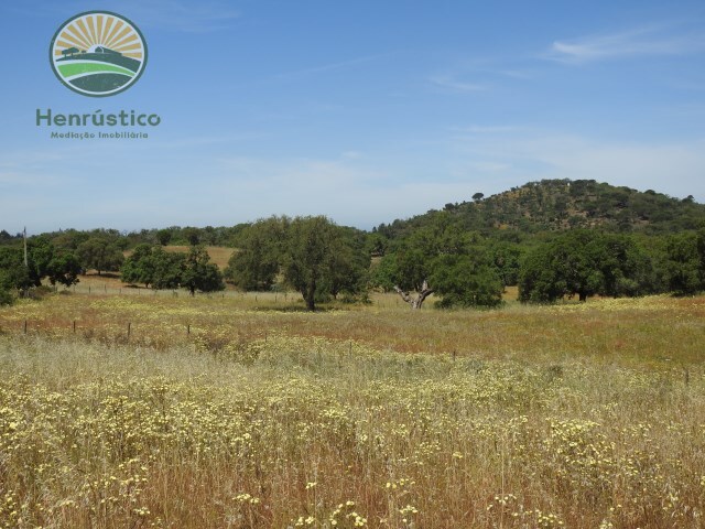 Terreno Rstico - So Francisco da Serra, Santiago do Cacm, Setbal - Imagem grande