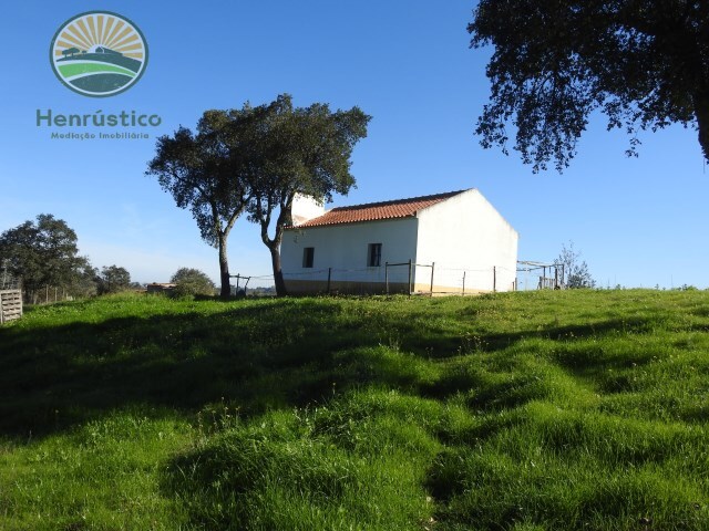 Terreno Rstico - Santa Margarida da Serra, Grndola, Setbal - Imagem grande