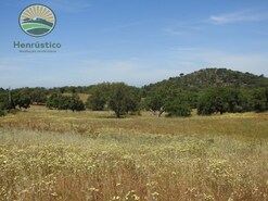 Terreno Rstico - So Francisco da Serra, Santiago do Cacm, Setbal