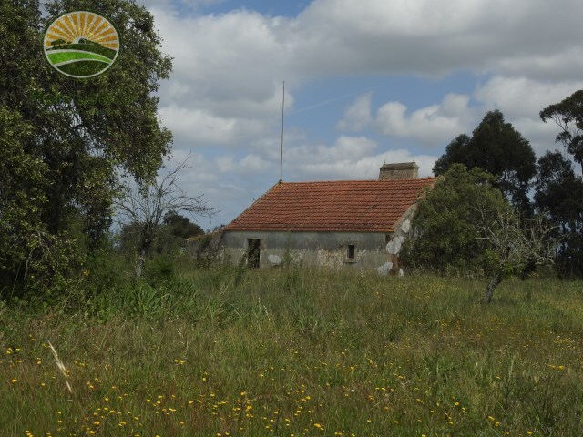 Quinta - Melides, Grndola, Setbal - Imagem grande