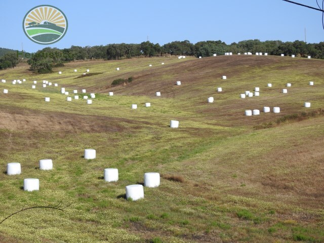 Terreno Rstico - Cercal do Alentejo, Santiago do Cacm, Setbal - Imagem grande