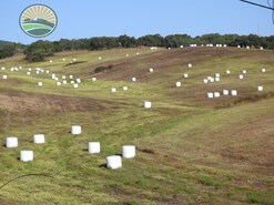 Terreno Rstico - Cercal do Alentejo, Santiago do Cacm, Setbal