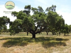 Terreno Rstico - Santa Margarida da Serra, Grndola, Setbal