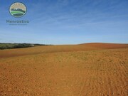 Terreno Rstico - Cercal do Alentejo, Santiago do Cacm, Setbal - Miniatura: 1/9