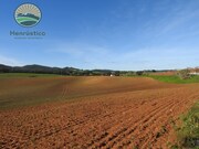 Terreno Rstico - Cercal do Alentejo, Santiago do Cacm, Setbal - Miniatura: 2/9