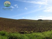 Terreno Rstico - Cercal do Alentejo, Santiago do Cacm, Setbal - Miniatura: 3/9