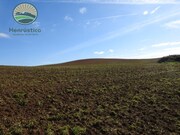 Terreno Rstico - Cercal do Alentejo, Santiago do Cacm, Setbal - Miniatura: 4/9