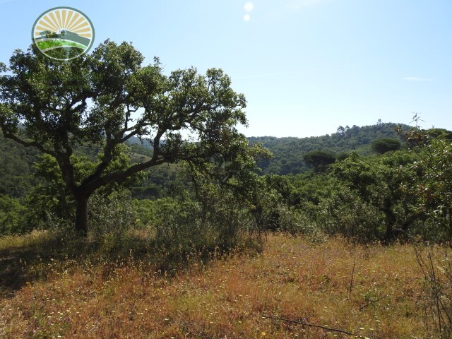 Terreno Rstico - So Francisco da Serra, Santiago do Cacm, Setbal - Imagem grande