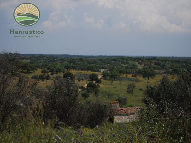 Terreno Rstico - Azinheira dos Barros, Grndola, Setbal - Imagem grande