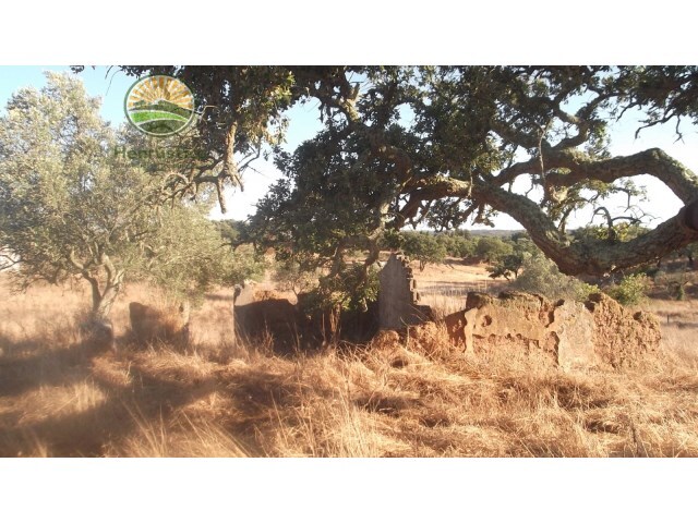 Terreno Rstico - Santa Margarida da Serra, Grndola, Setbal - Imagem grande