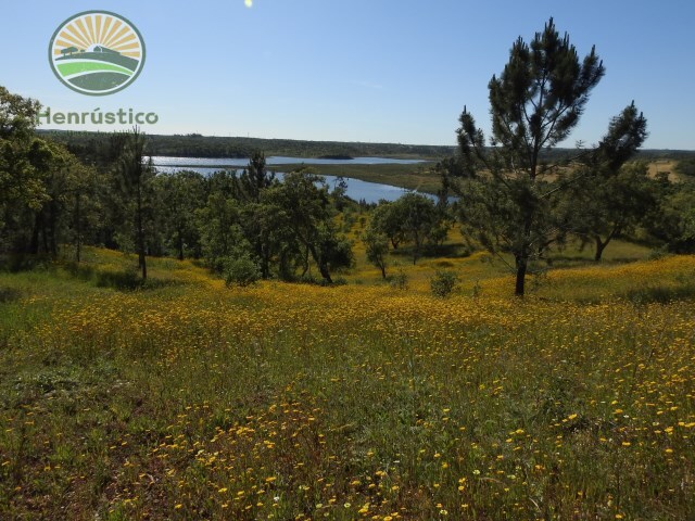 Terreno Rstico - So Domingos, Santiago do Cacm, Setbal - Imagem grande