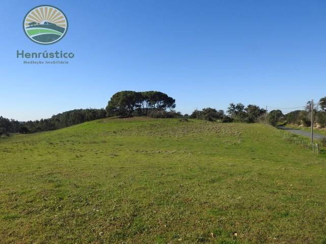 Terreno Rstico - So Francisco da Serra, Santiago do Cacm, Setbal - Imagem grande