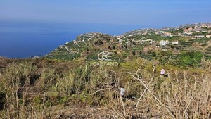 Terreno Rstico T0 - Tabua, Ribeira Brava, Ilha da Madeira - Miniatura: 1/3