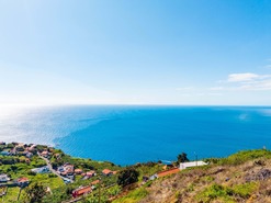 Terreno Rstico T0 - Ribeira Brava, Ribeira Brava, Ilha da Madeira - Miniatura: 16/17