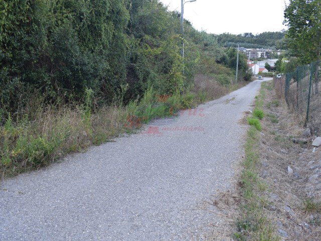 Terreno Rstico - So Martinho do Bispo, Coimbra, Coimbra - Imagem grande