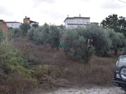 Terreno Rstico - So Martinho do Bispo, Coimbra, Coimbra - Miniatura: 2/9