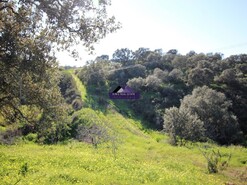 Terreno Rstico - Castro Marim, Castro Marim, Faro (Algarve)