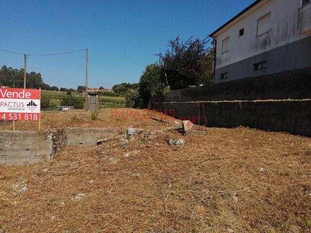 Terreno Rstico - Muro, Trofa, Porto - Imagem grande