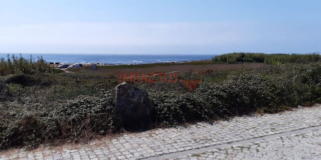 Terreno Rstico - A Ver-o-Mar, Pvoa de Varzim, Porto - Imagem grande