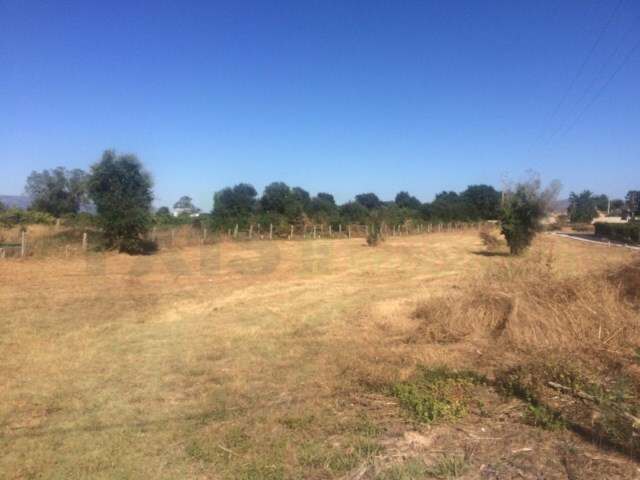 Terreno Urbano - Friestas, Valena, Viana do Castelo - Imagem grande