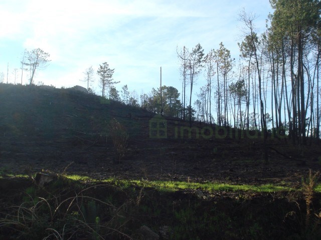 Terreno Rstico - Cambeses, Mono, Viana do Castelo - Imagem grande