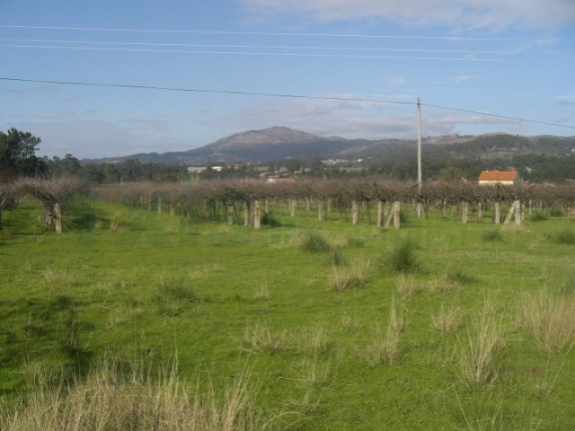 Terreno Rstico - Bela, Mono, Viana do Castelo - Imagem grande