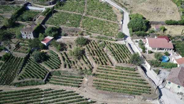 Terreno Rstico - No Definido, Sabrosa, Vila Real - Imagem grande