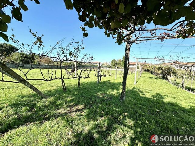 Terreno Rstico - Aves, Santo Tirso, Porto - Imagem grande