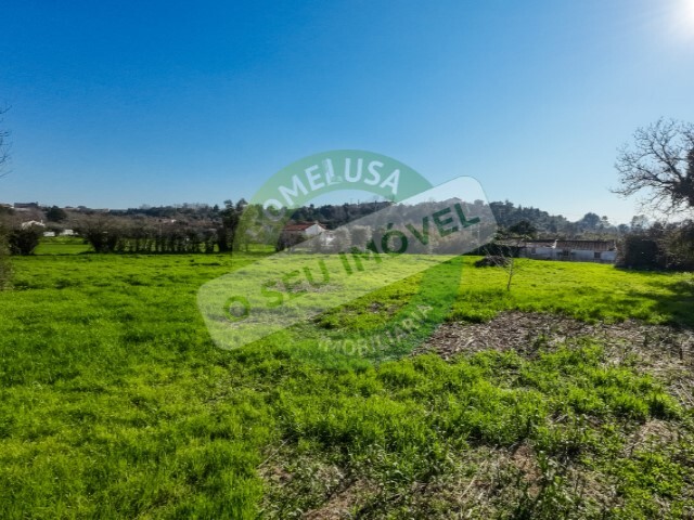 Terreno Rstico - Cernache, Coimbra, Coimbra - Imagem grande