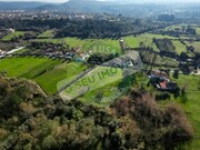 Terreno Rstico - Cernache, Coimbra, Coimbra - Miniatura: 9/9