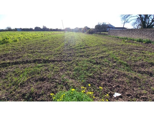 Terreno Rstico - Ssa, Vagos, Aveiro - Imagem grande