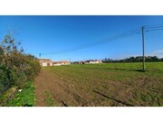 Terreno Rstico - Ssa, Vagos, Aveiro - Miniatura: 7/9