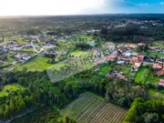 Terreno Rstico - Portunhos, Cantanhede, Coimbra - Miniatura: 8/8