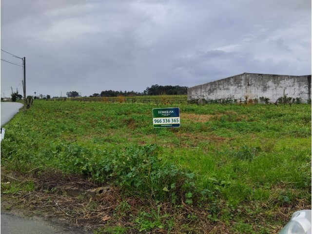 Terreno Rstico - REQUEIXO, NOSSA SENHORA DE FTIMA E NARIZ, Aveiro, Aveiro - Imagem grande