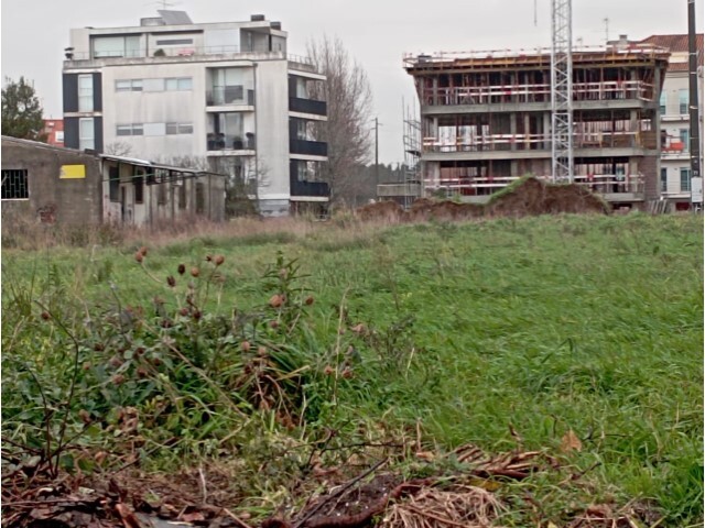 Terreno Rstico - So Bernardo, Aveiro, Aveiro - Imagem grande