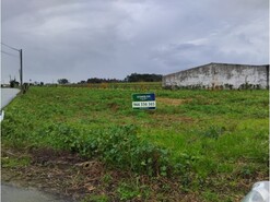 Terreno Rstico - REQUEIXO, NOSSA SENHORA DE FTIMA E NARIZ, Aveiro, Aveiro