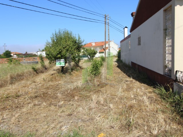 Terreno Rstico - Lavos, Figueira da Foz, Coimbra - Imagem grande