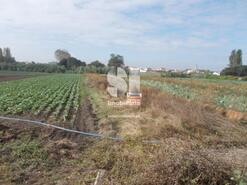 Terreno Rstico - Aveiro, Aveiro, Aveiro - Miniatura: 2/2