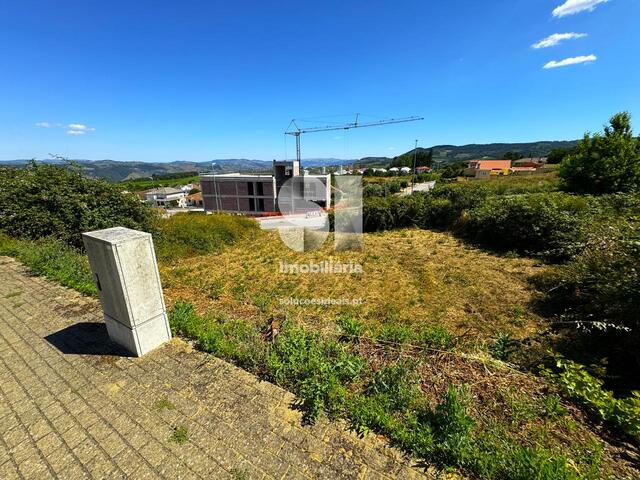 Terreno Rstico - Sabrosa, Sabrosa, Vila Real - Imagem grande