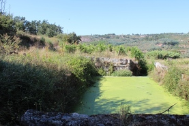 Quinta T4 - Travanca de Lagos, Oliveira do Hospital, Coimbra - Miniatura: 9/12