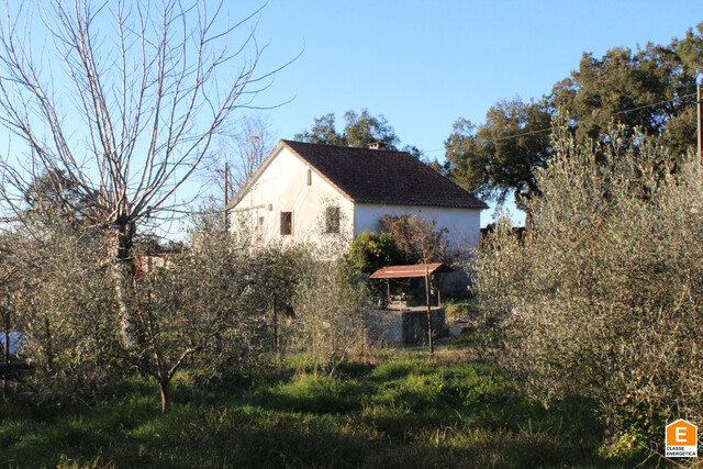 Moradia T2 - S. Joo de Areias, Santa Comba Do, Viseu - Imagem grande