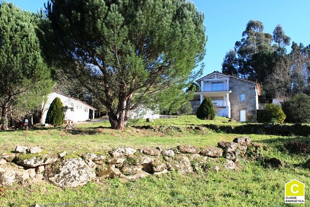 Quinta - Mides, Tbua, Coimbra - Imagem grande