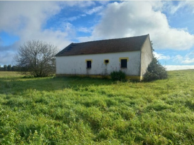 Quinta - Branca, Coruche, Santarm - Imagem grande