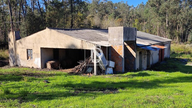 Armazm T1 - Vilarinho do Bairro, Anadia, Aveiro - Imagem grande