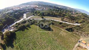 Terreno Rstico T0 - Almacave, Lamego, Viseu - Miniatura: 5/7