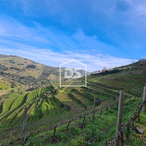 Terreno Rstico T0 - No Definido, No Definido, No Definido - Imagem grande